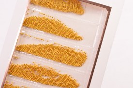 Kit caviar decorativo uñas dorado (2).jpg